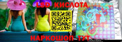 шишки Кандалакша