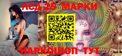 шишки Кандалакша