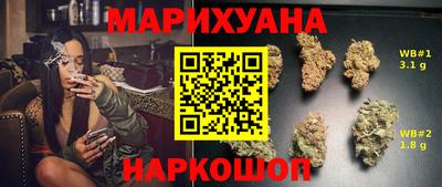 шишки Кандалакша
