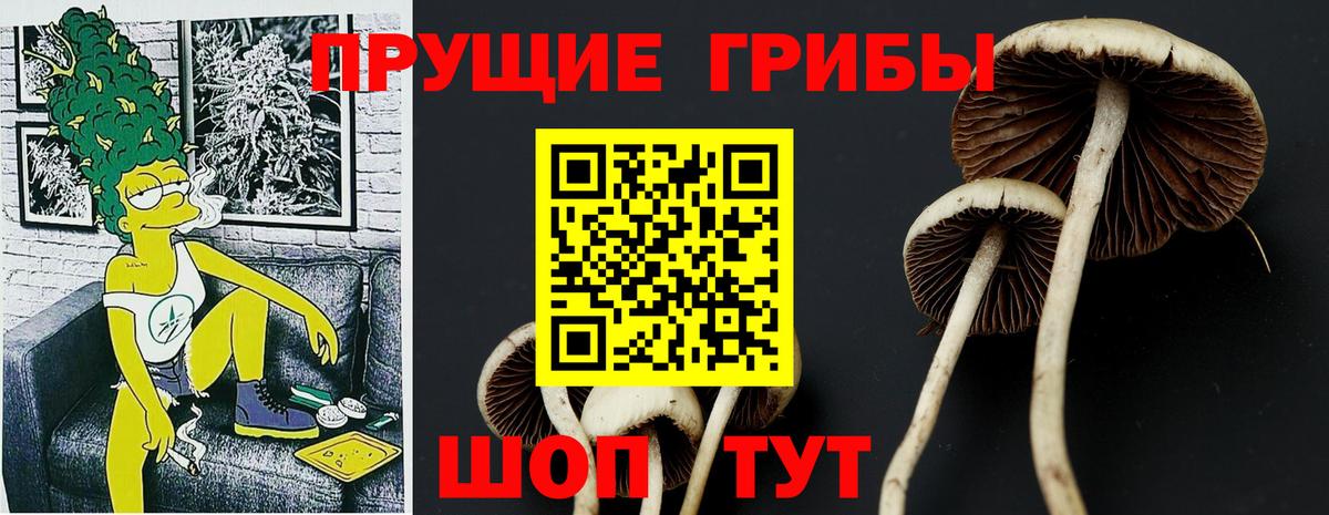 Псилоцибиновые грибы Psilocybine cubensis  Вход с VPN  где найти наркотики  Североуральск 