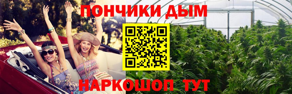 Конопля MAZAR  МАРИХУАНА план  Североуральск  Марихуана SATIVA & INDICA  Вход с VPN  Бошки Шишки OG Kush 